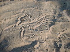 20050810 sand art by daughter.JPG